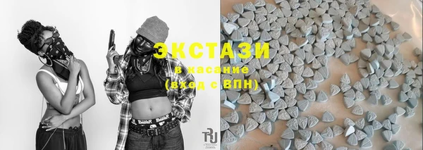 мет Ельня