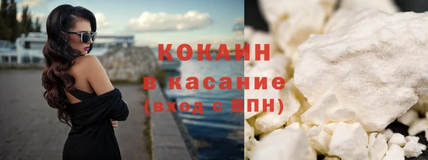 мет Ельня