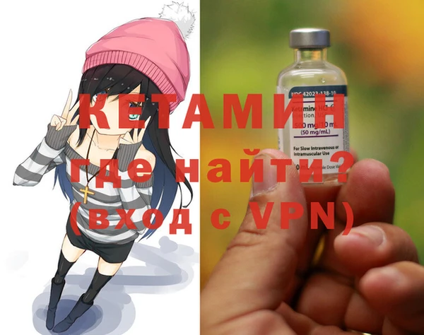 мет Ельня